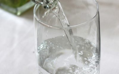 Need To Lose A Few Pounds? Drink Water